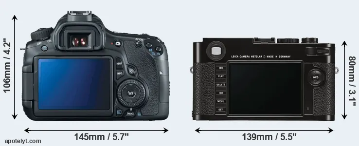 Comparison 60D or M Typ 262 rear