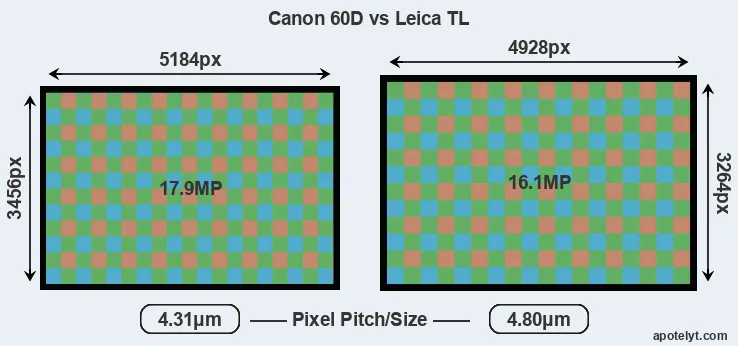 60D versus TL MP