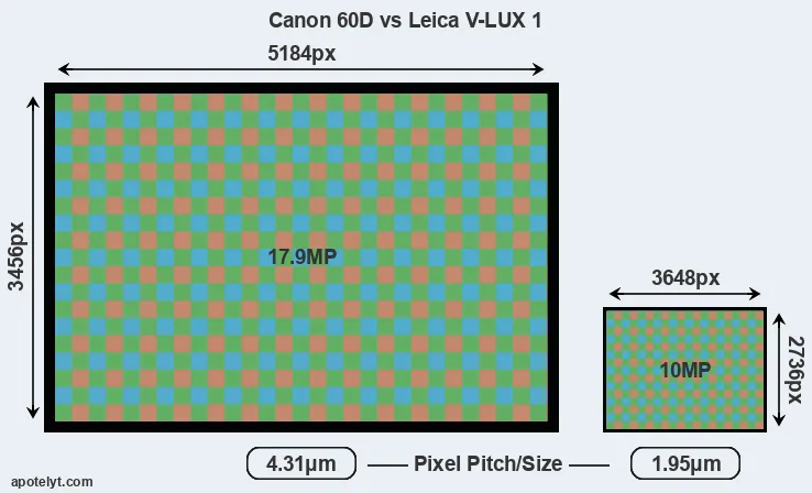 60D versus V-LUX 1 MP