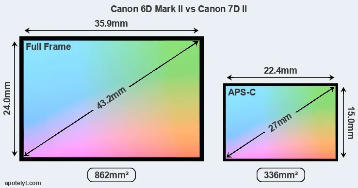 Canon 6D Mark II and Canon 7D II sensor measures
