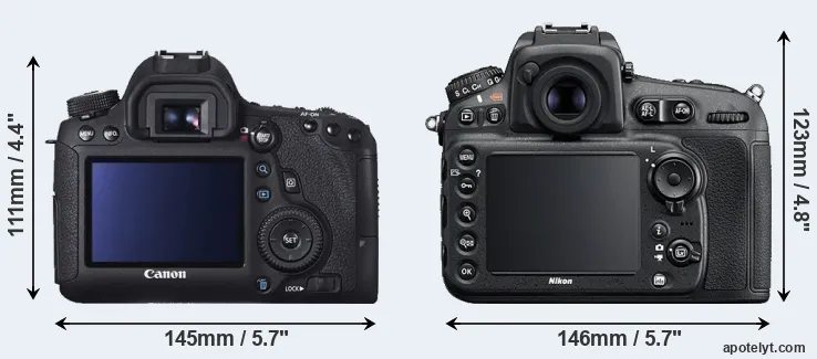 Comparison 6D or D810 rear