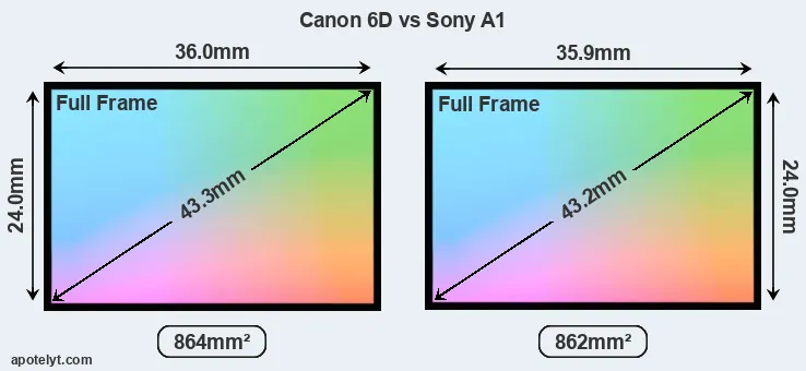Canon 6D and Sony A1 sensor measures