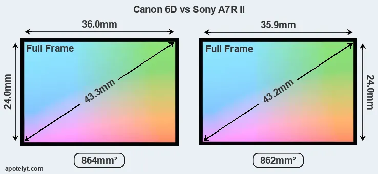 Canon 6D and Sony A7R II sensor measures