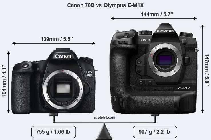 Size Canon 70D vs Olympus E-M1X