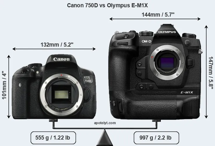 Size Canon 750D vs Olympus E-M1X