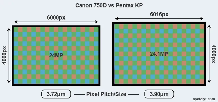 750D versus KP MP