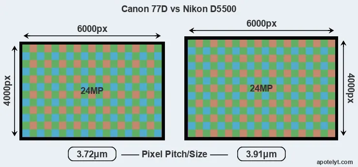 77D versus D5500 MP