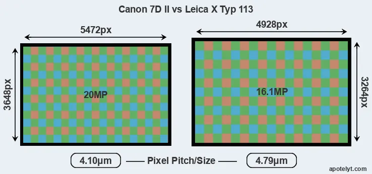 7D Mark II versus X Typ 113 MP