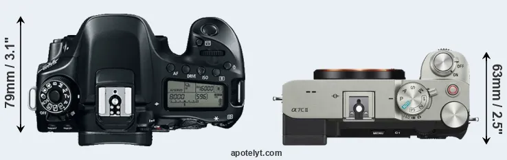 Compare 80D versus A7C II top