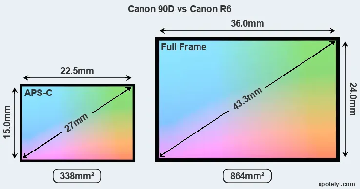 Canon 90D and Canon R6 sensor measures