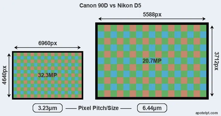 90D versus D5 MP