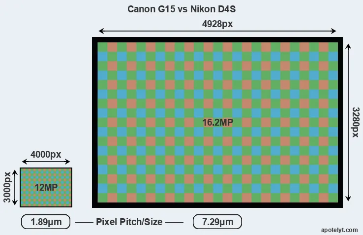 G15 versus D4S MP