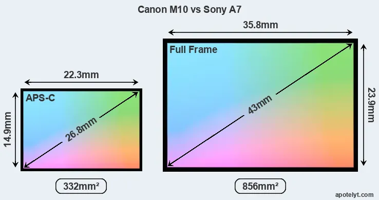 Canon M10 and Sony A7 sensor measures