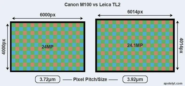 M100 versus TL2 MP