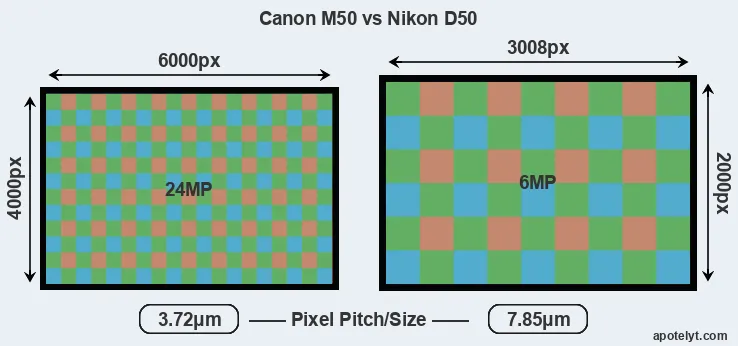 M50 versus D50 MP