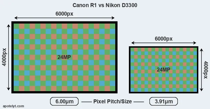 R1 versus D3300 MP