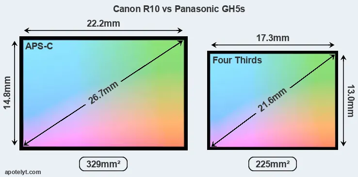 Canon R10 and Panasonic GH5s sensor measures