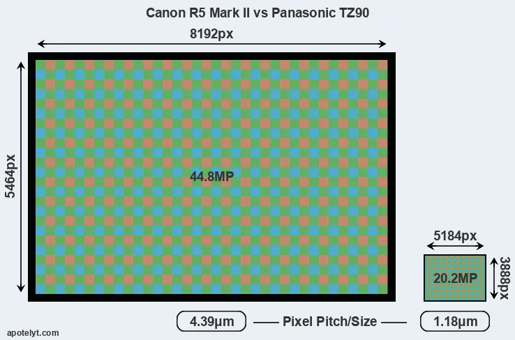 R5 Mark II versus TZ90 MP