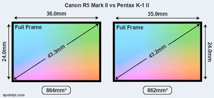 Canon R5 Mark II and Pentax K-1 II sensor measures