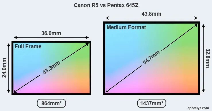 Canon R5 and Pentax 645Z sensor measures