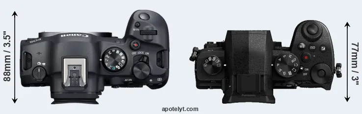 Compare R6 Mark II versus G95 top