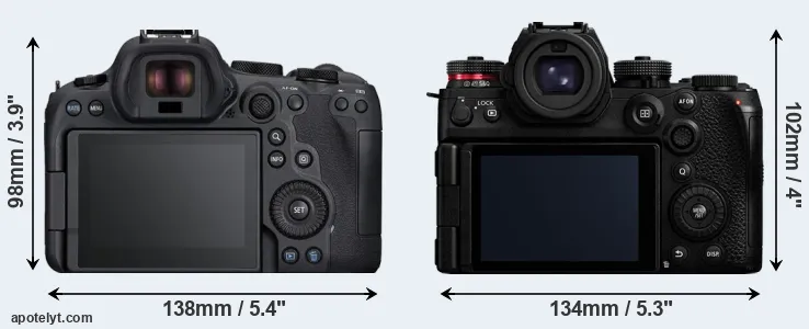 Comparison R6 Mark II or S1R II rear