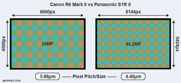 R6 Mark II versus S1R II MP