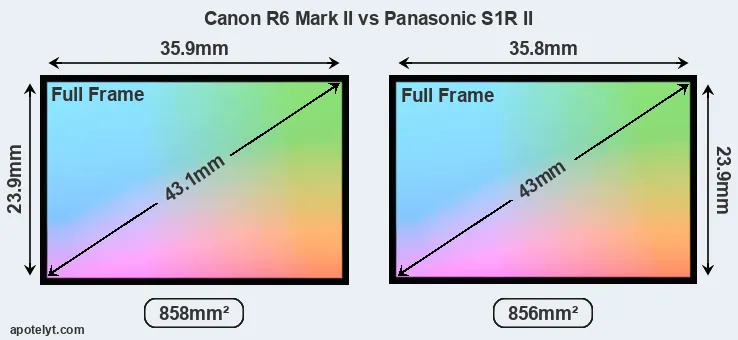 Canon R6 Mark II and Panasonic S1R II sensor measures