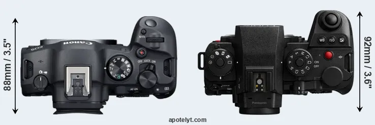 Compare R6 Mark II versus S1R II top