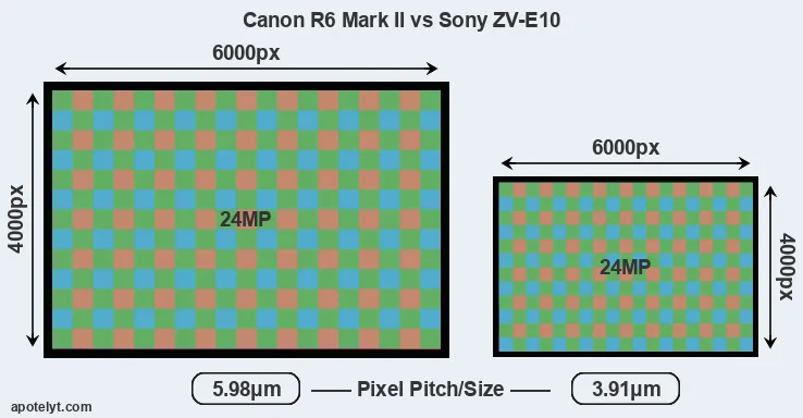 R6 Mark II versus ZV-E10 MP