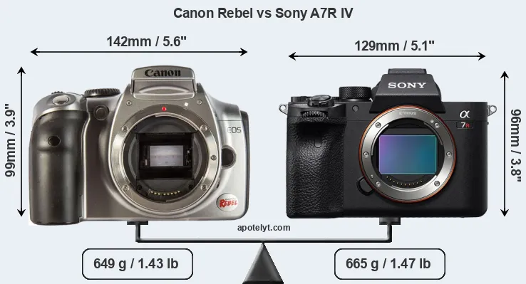 Size Canon Rebel vs Sony A7R IV