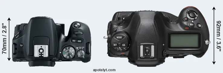 Compare SL2 versus D6 top