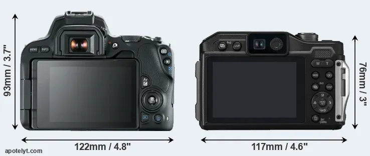 Comparison SL2 or FT7 rear
