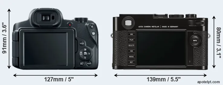 Comparison SX70 or M Typ 262 rear
