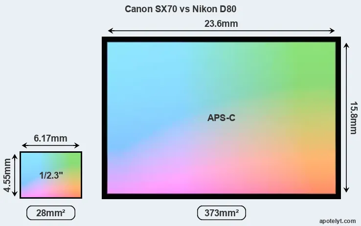 Canon SX70 and Nikon D80 sensor measures