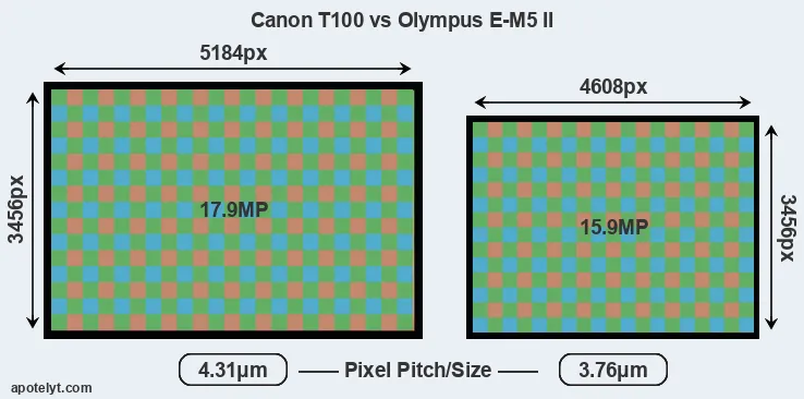 T100 versus E-M5 II MP
