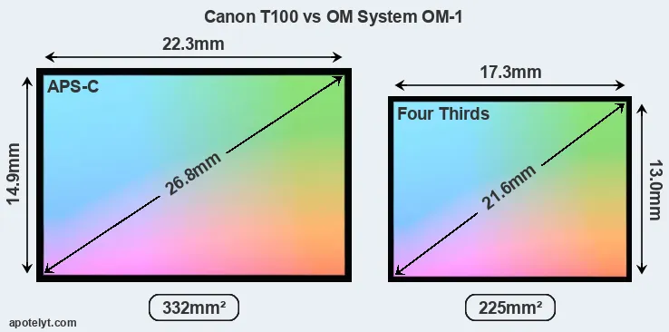 Canon T100 and OM System OM-1 sensor measures