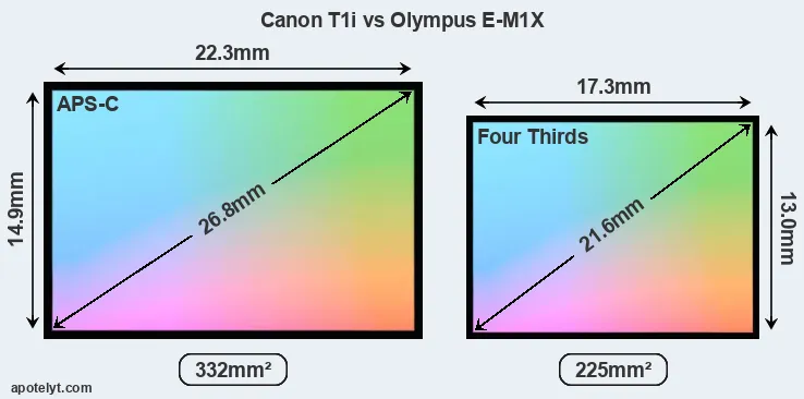 Canon T1i and Olympus E-M1X sensor measures