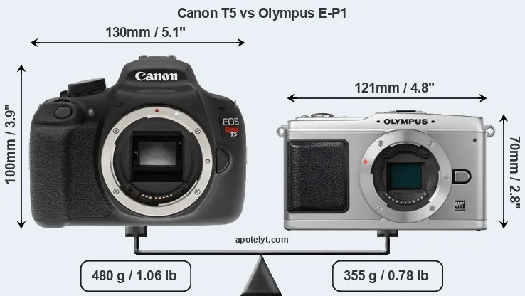 Size Canon T5 vs Olympus E-P1