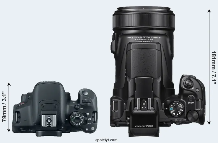 Compare T5i versus P1000 top