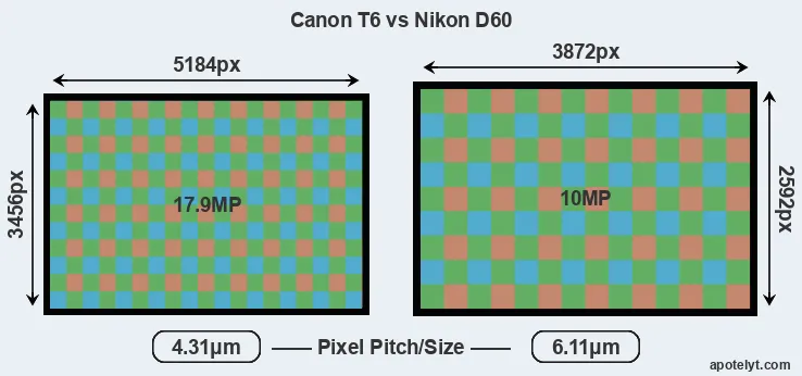 T6 versus D60 MP