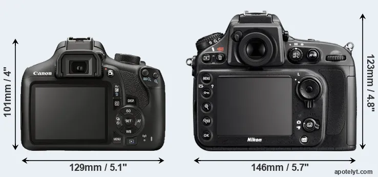 Comparison T6 or D800 rear