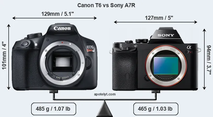 Size Canon T6 vs Sony A7R