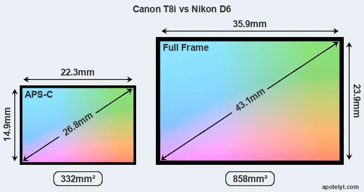 Canon T8i and Nikon D6 sensor measures