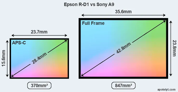 Epson R-D1 and Sony A9 sensor measures