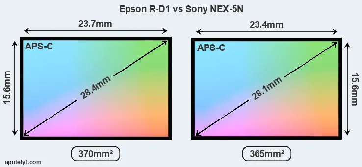 Epson R-D1 and Sony NEX-5N sensor measures