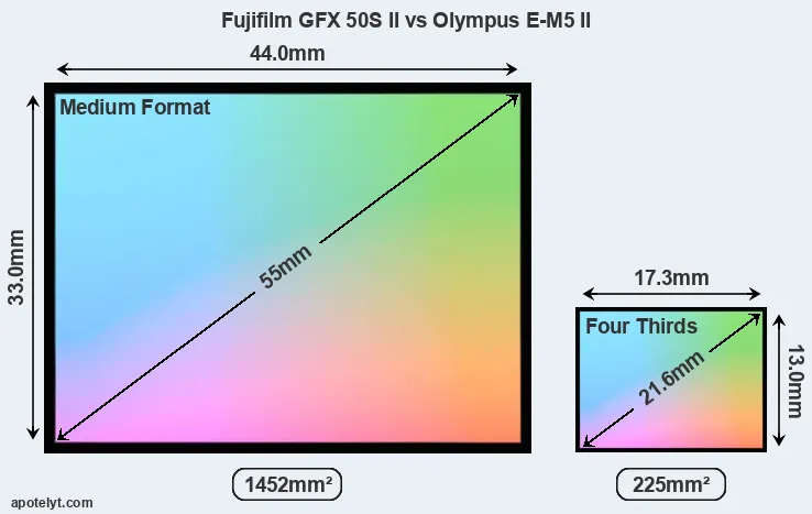 Fujifilm GFX 50S II and Olympus E-M5 II sensor measures