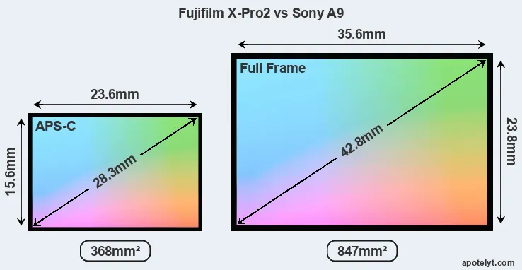 Fujifilm X-Pro2 and Sony A9 sensor measures
