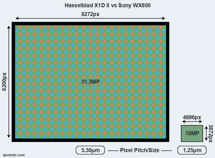 X1D II versus WX800 MP
