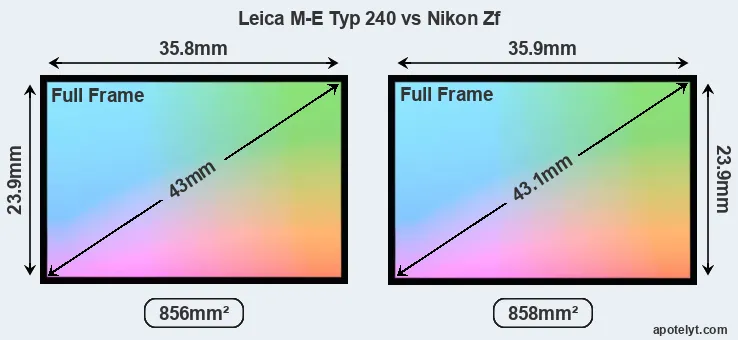 Leica M-E Typ 240 and Nikon Zf sensor measures